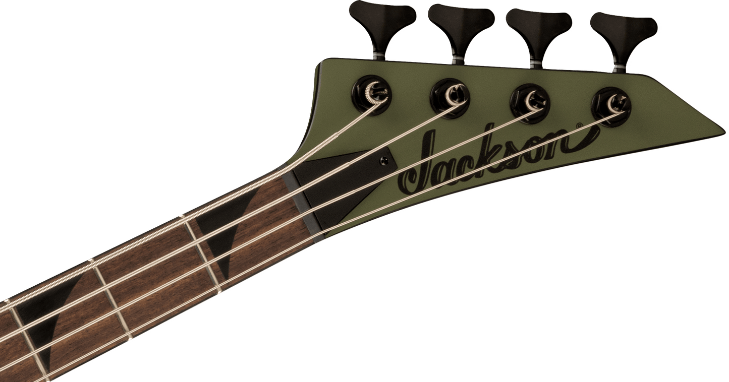 X Series Concert™ Bass CBXDX IV