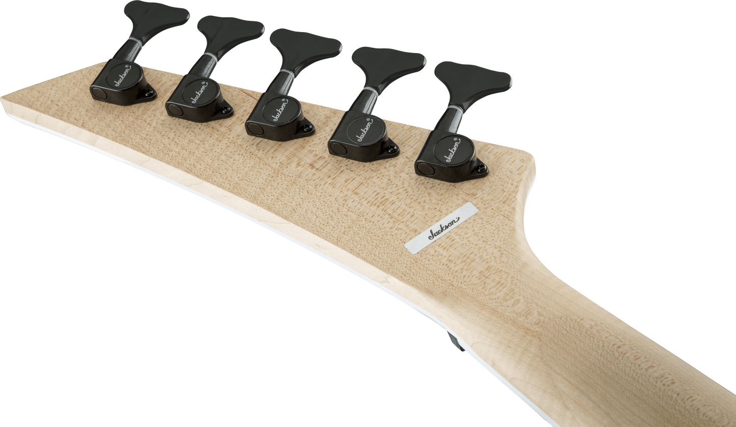 X Series Signature David Ellefson Concert™ Bass CBX V