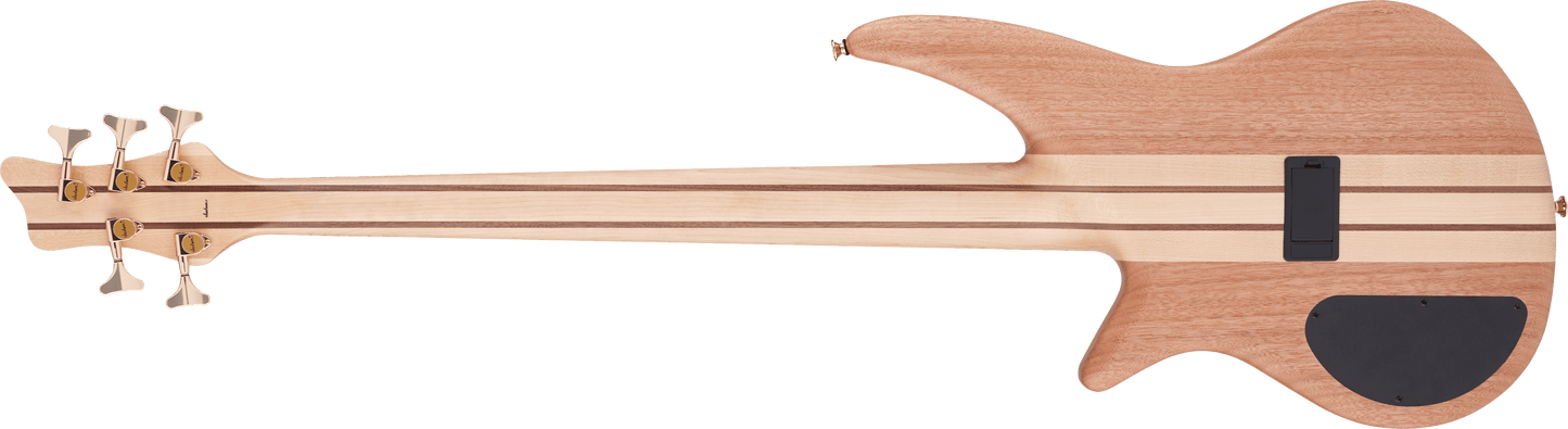 Pro Series Spectra Bass SBP V